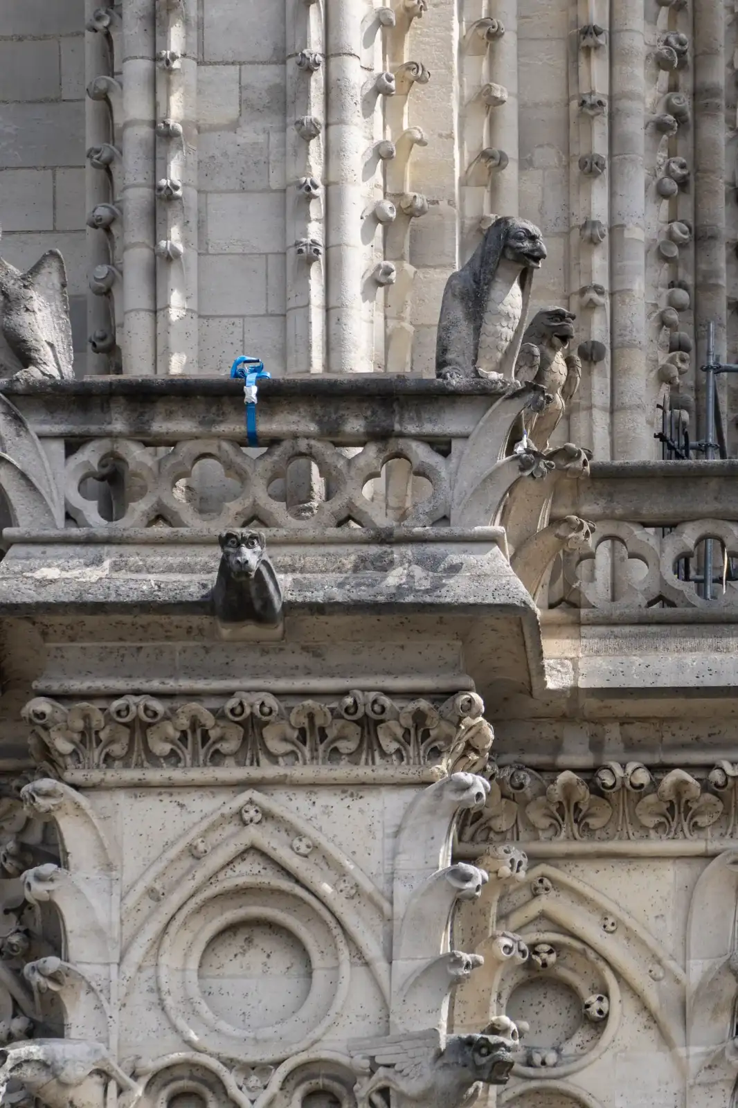 Détail architectural en pierre de la cathédrale Notre-Dame de Paris avec ses célèbres gargouilles.