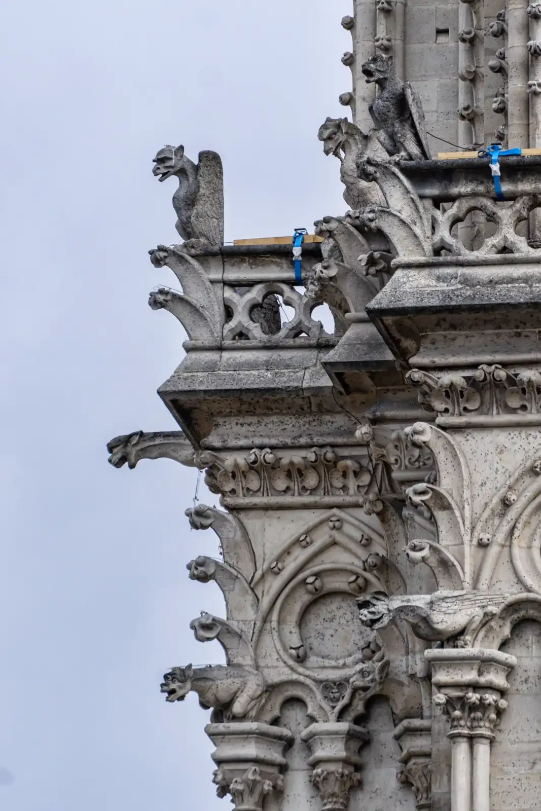 Gargouilles en pierre sculptée ornant la façade gothique de la cathédrale Notre-Dame de Paris.