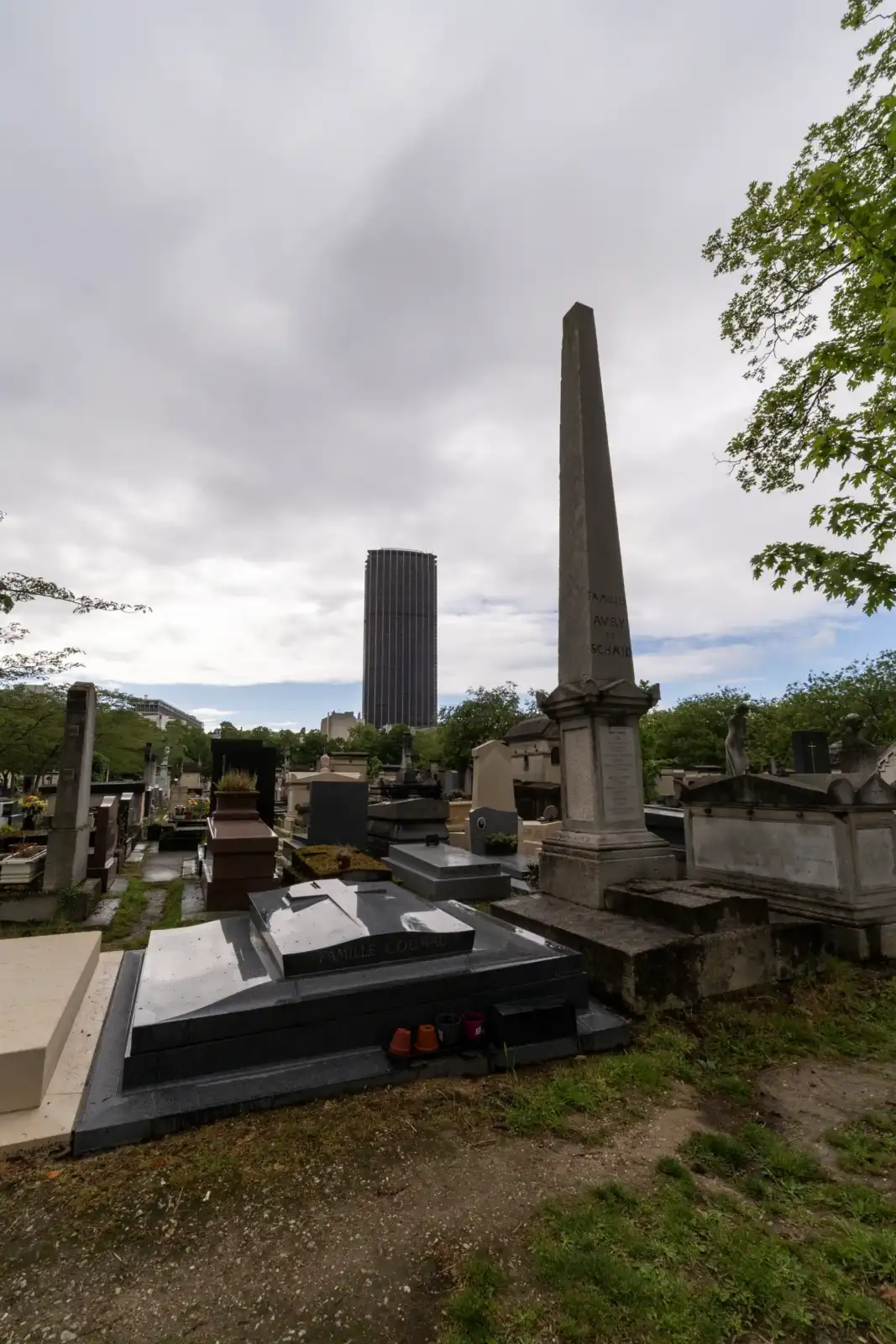 Vue intérieure du cimetière de Montparnasse avec des tombes et la tour Montparnasse en arrière-plan.