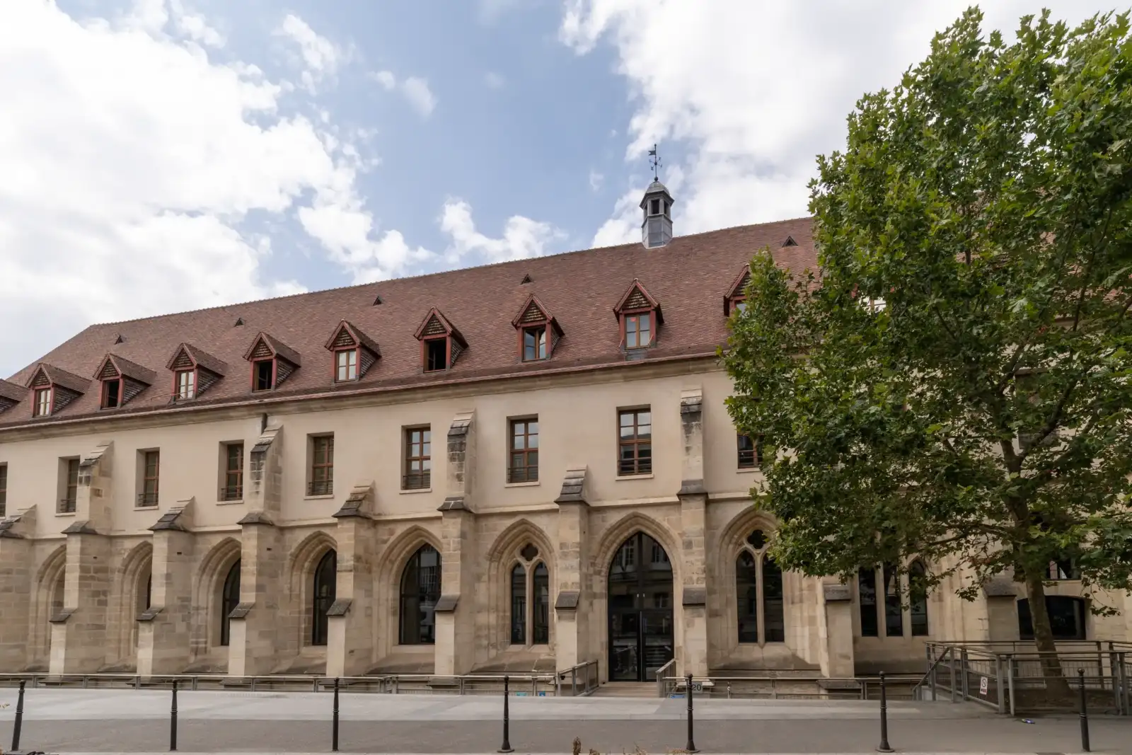 Façade ensoleillée du Collège des Bernardins à Paris, encadrée par un grand arbre feuillu.