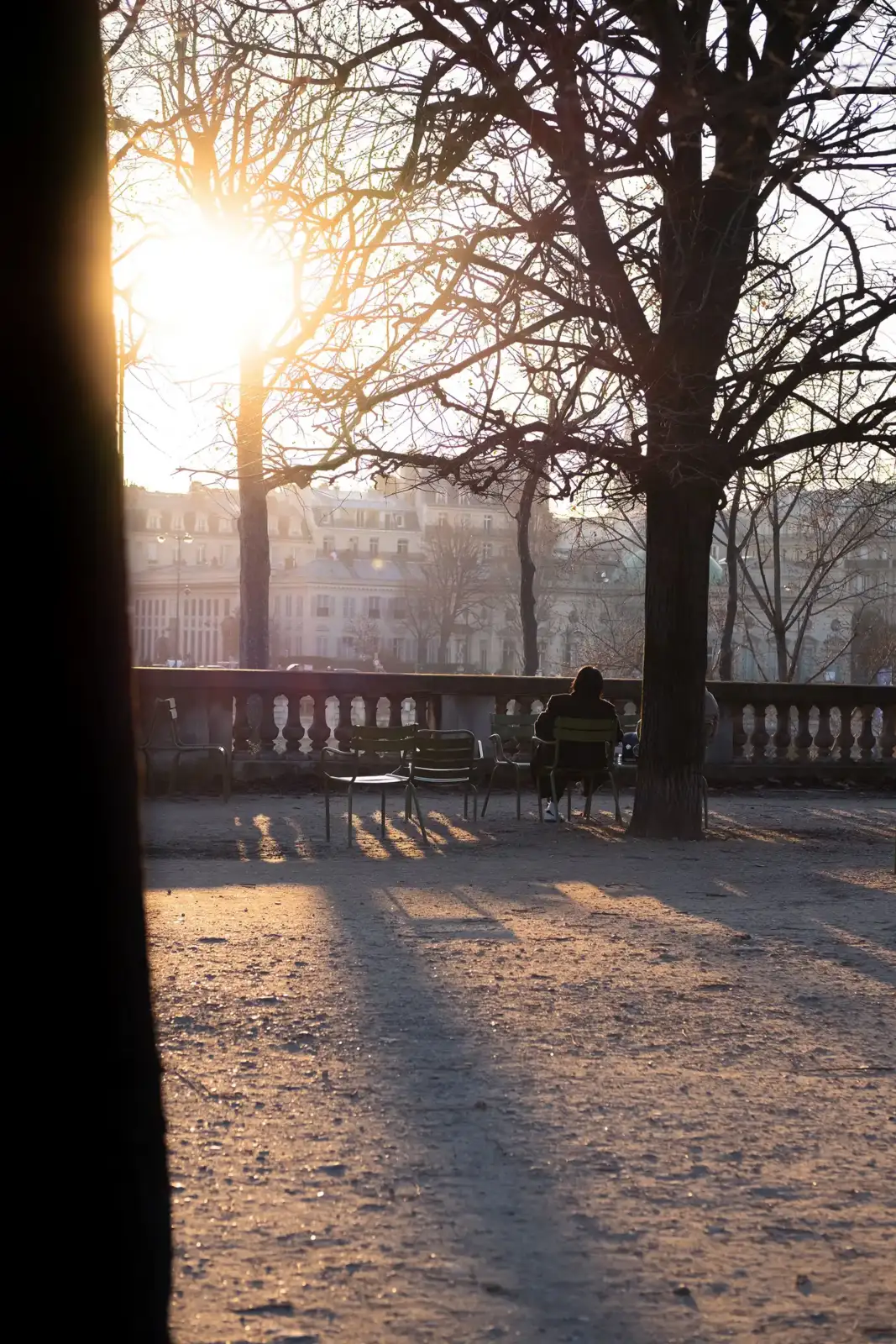 Un homme est assis de dos sur une chaise verte dans un parc parisien ensoleillé.