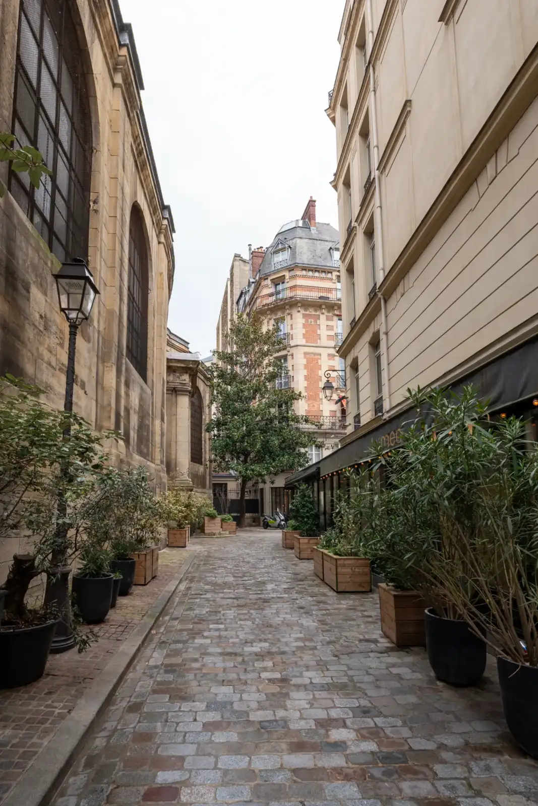 Une ruelle pavée étroite longe l'église Saint-Roch à Paris avec des plantes en pot.