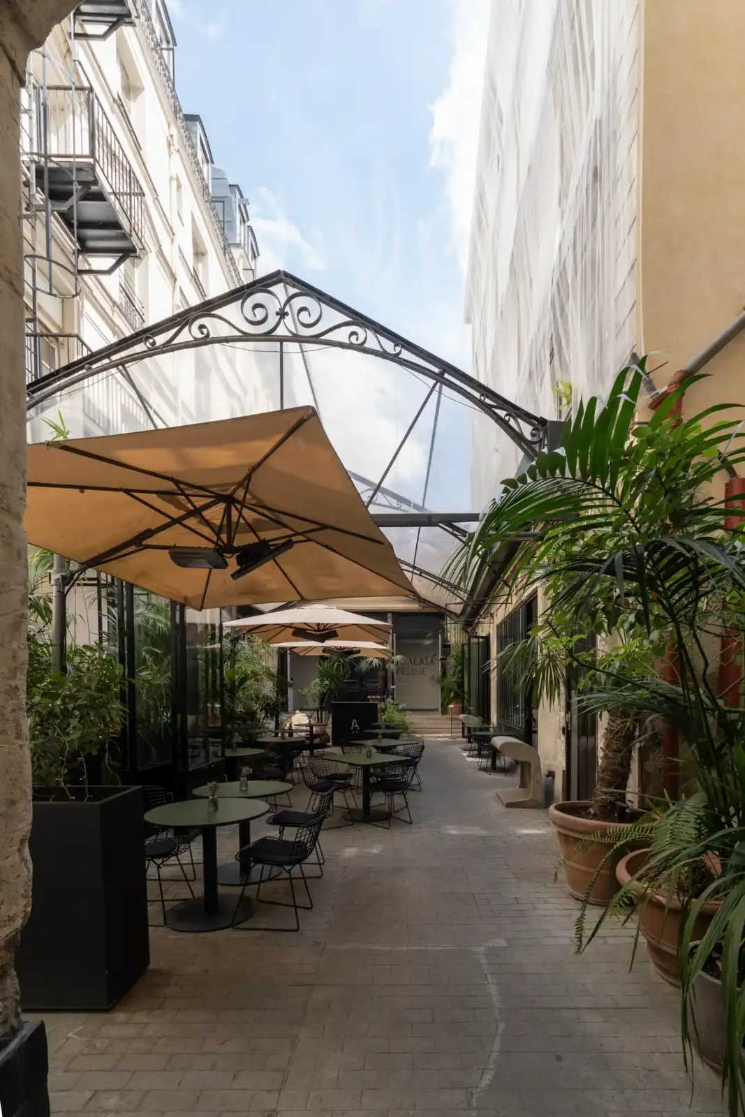 Une belle cour pavée avec des tables, des parasols et des plantes vertes.
