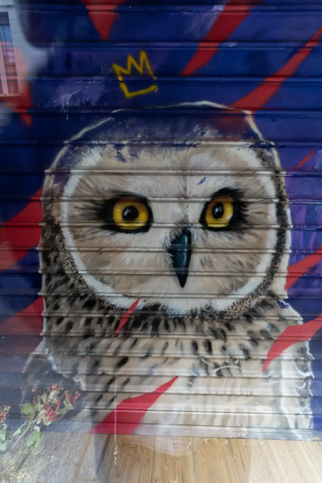 Une peinture murale colorée d un grand hibou décore la façade du magasin parisien.