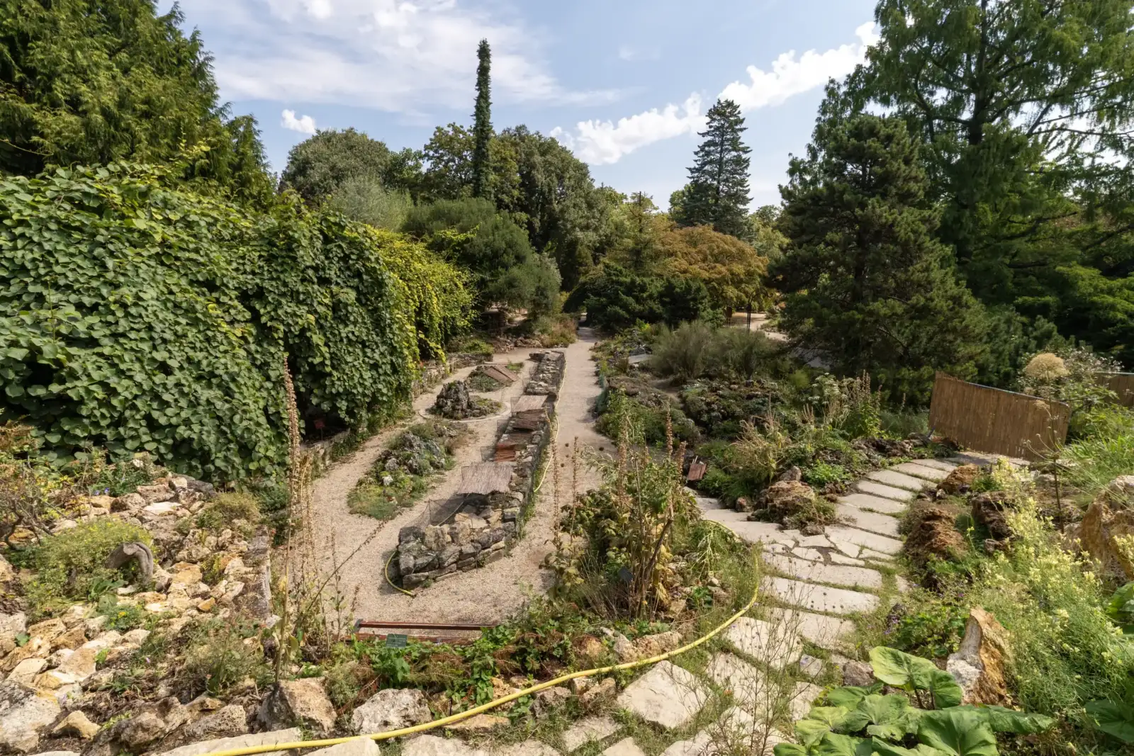 Une vue verdoyante du jardin alpin de Paris avec des sentiers de pierre et des arbres.