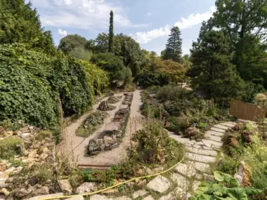 Une vue verdoyante du jardin alpin de Paris avec des sentiers de pierre et des arbres.