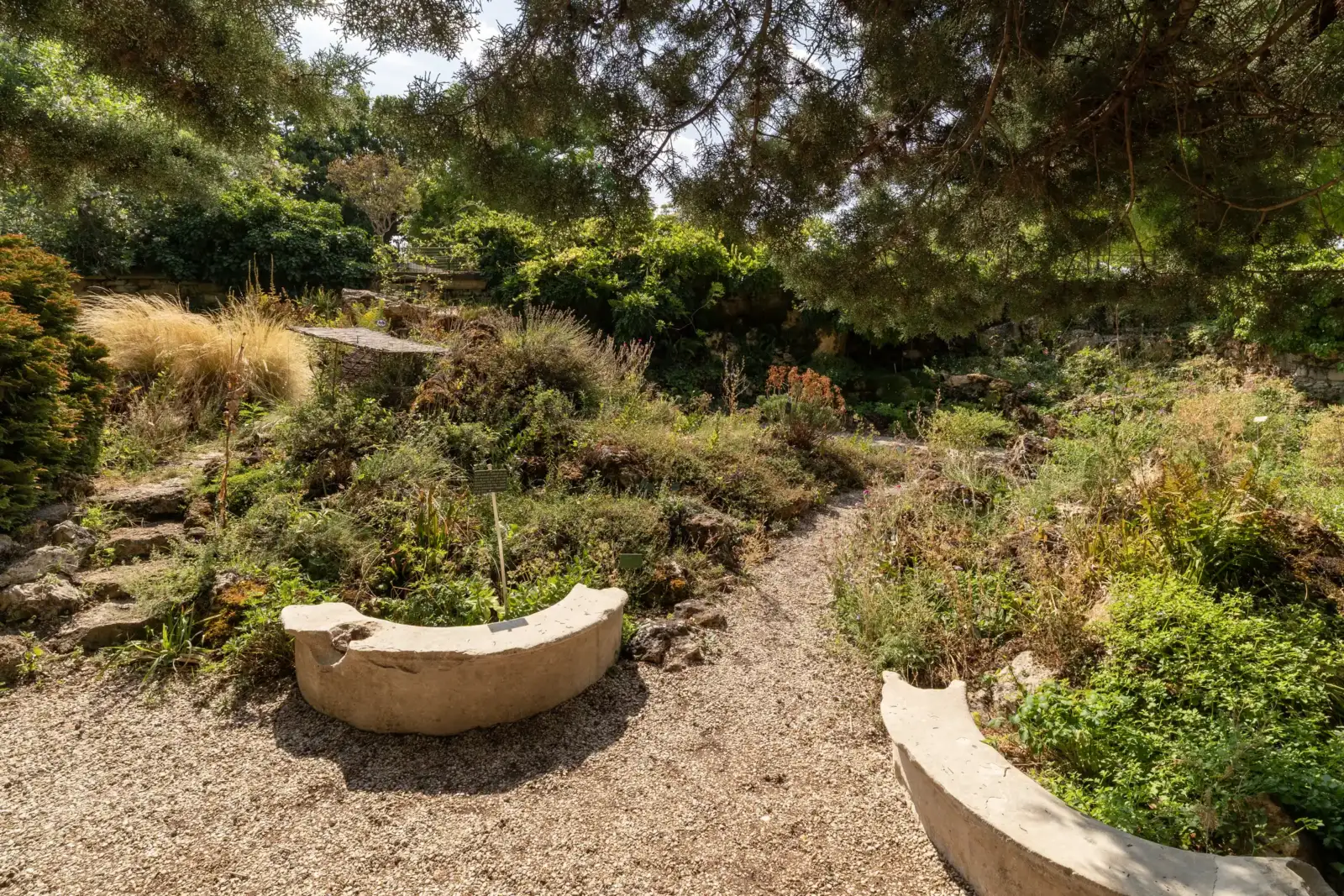 Un sentier en gravier sinue entre des parterres verdoyants du jardin alpin de Paris.