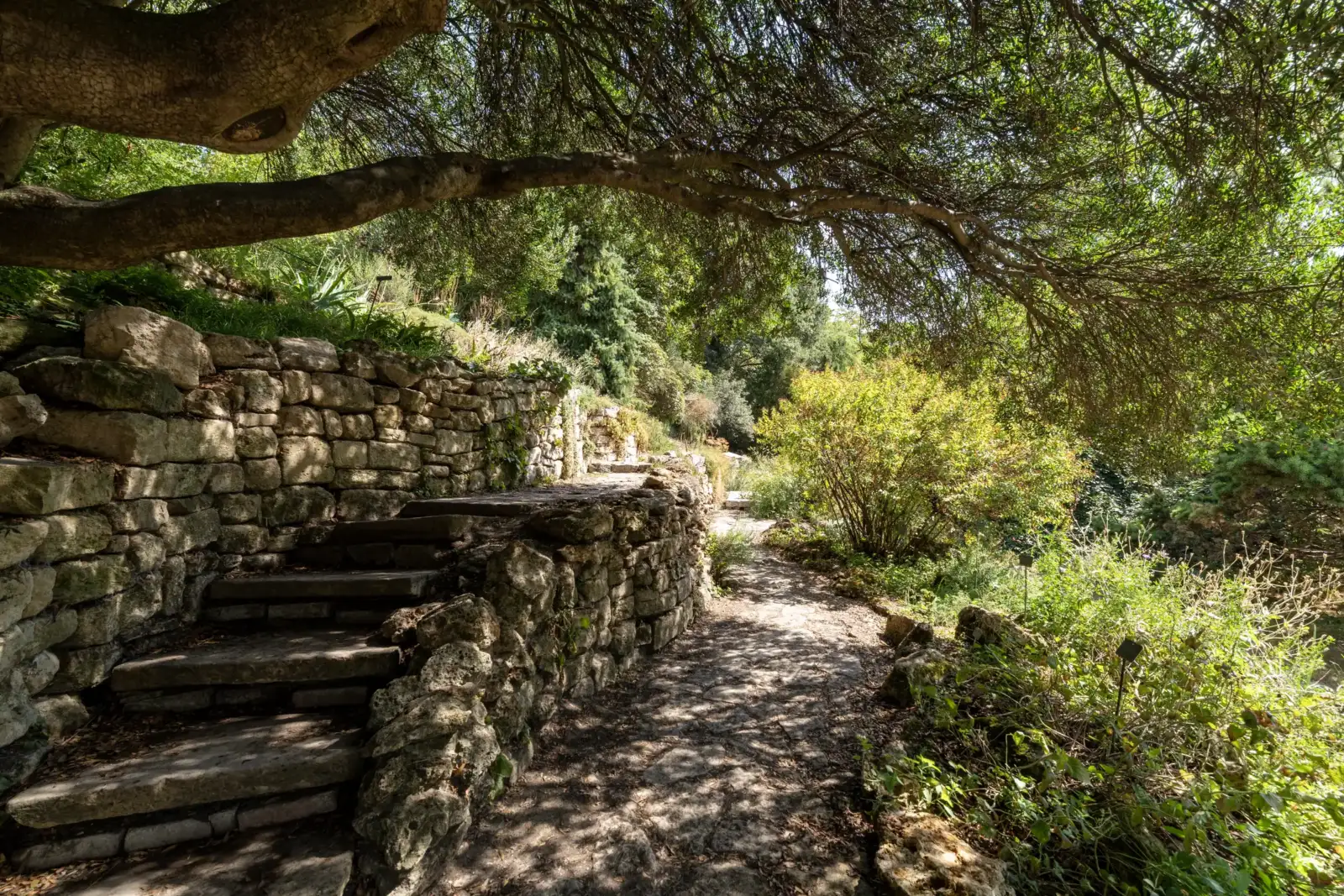 Un sentier pavé et des marches en pierre bordent un jardin verdoyant et luxuriant.