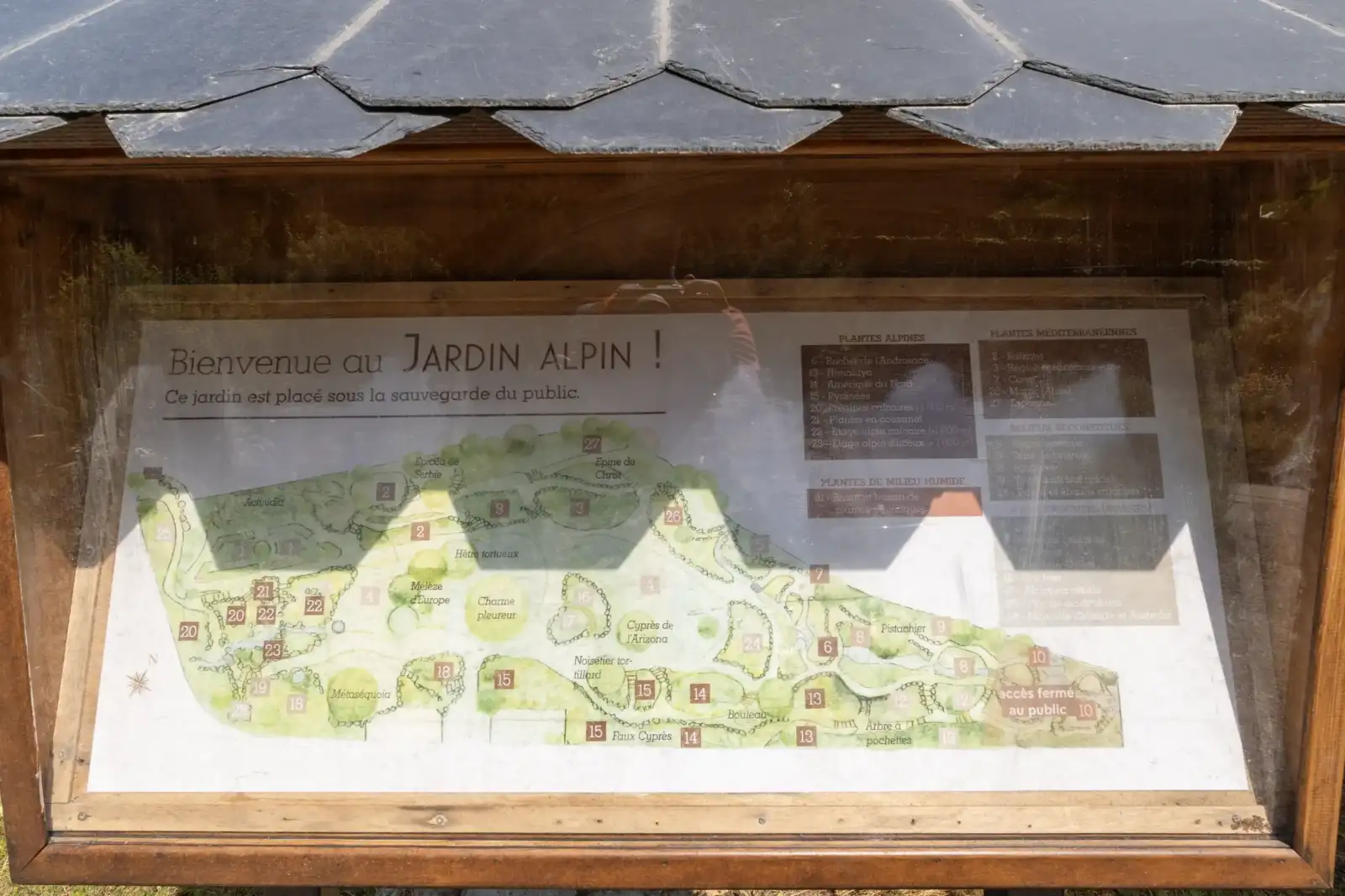Un panneau d'affichage en bois présente le plan illustré du Jardin alpin de Paris.
