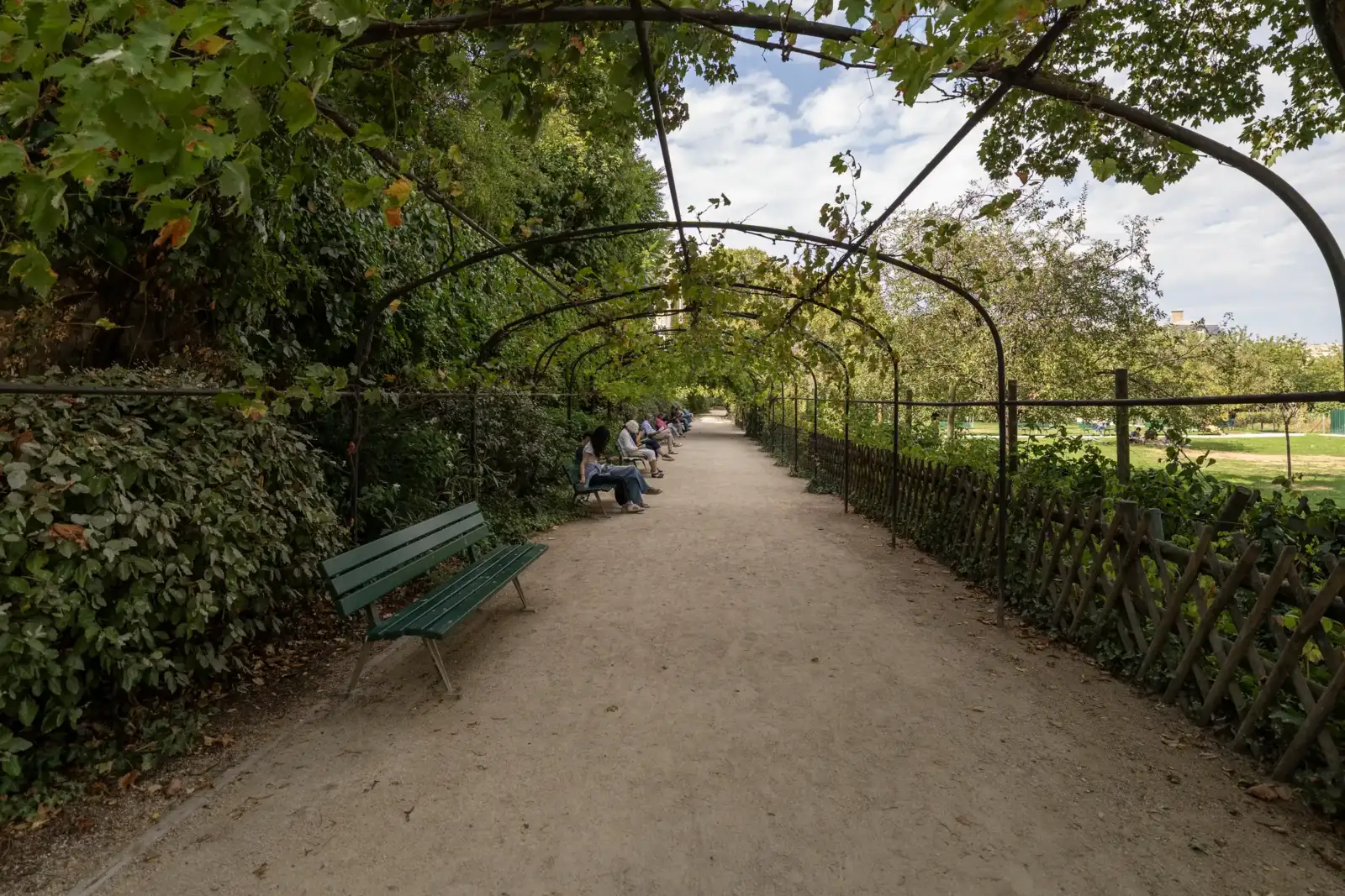 Vue en perspective d’une allée de gravier ombragée par une tonnelle végétale.