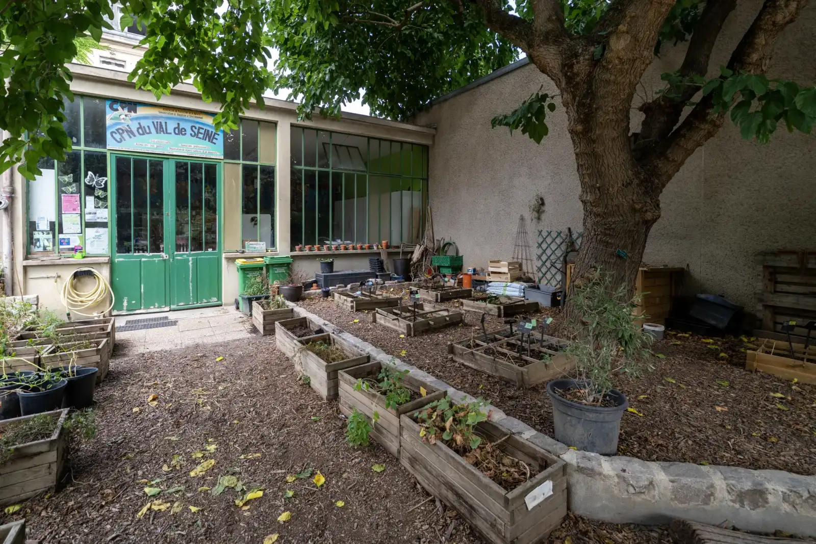 Vue d'un jardin communautaire avec des bacs de culture en bois et un bâtiment verdoyant.