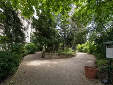 Une allée gravillonnée serpente au milieu de la verdure ombragée du jardin parisien.