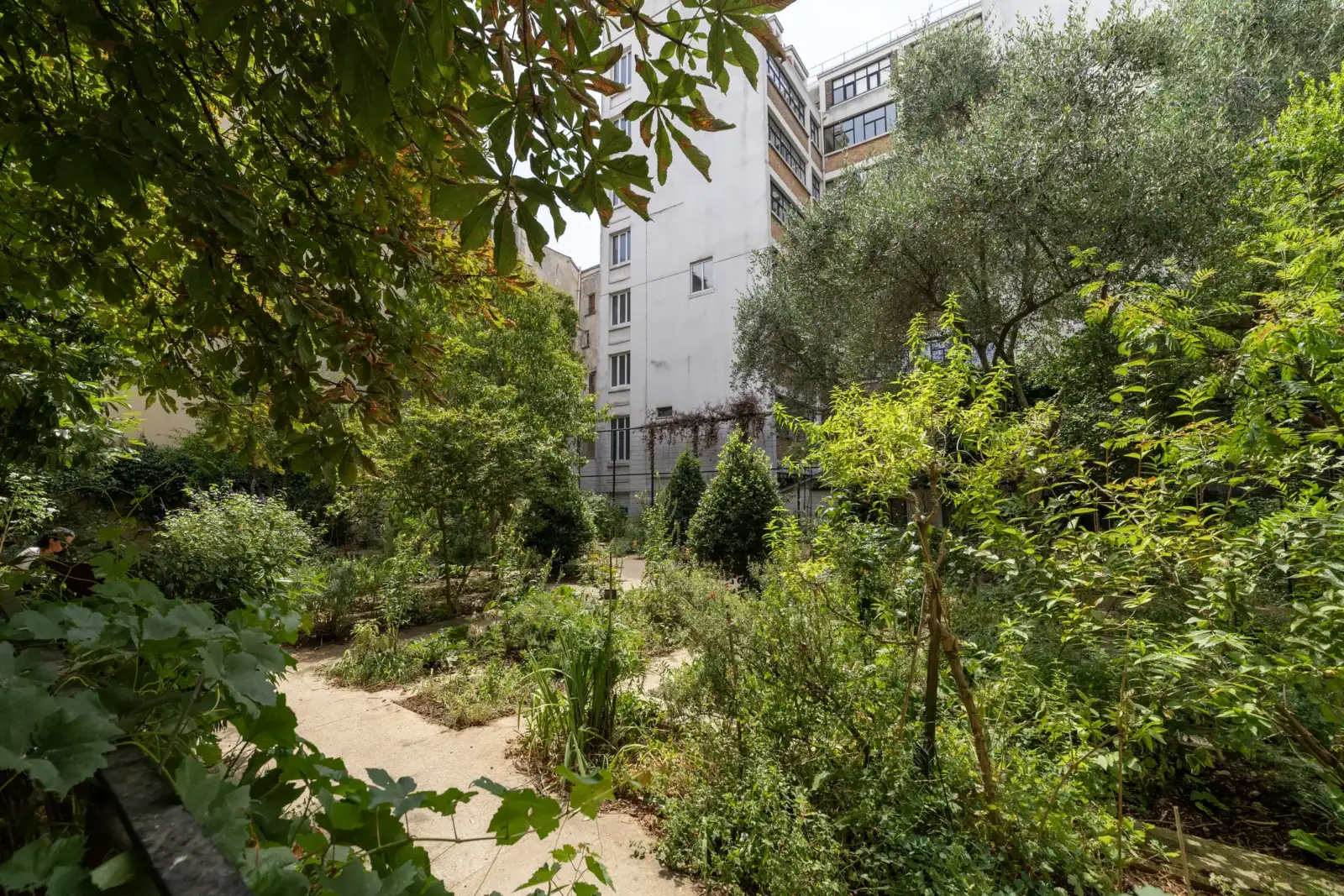 Une allée verdoyante traverse le jardin partagé du Clos des Blancs Manteaux.