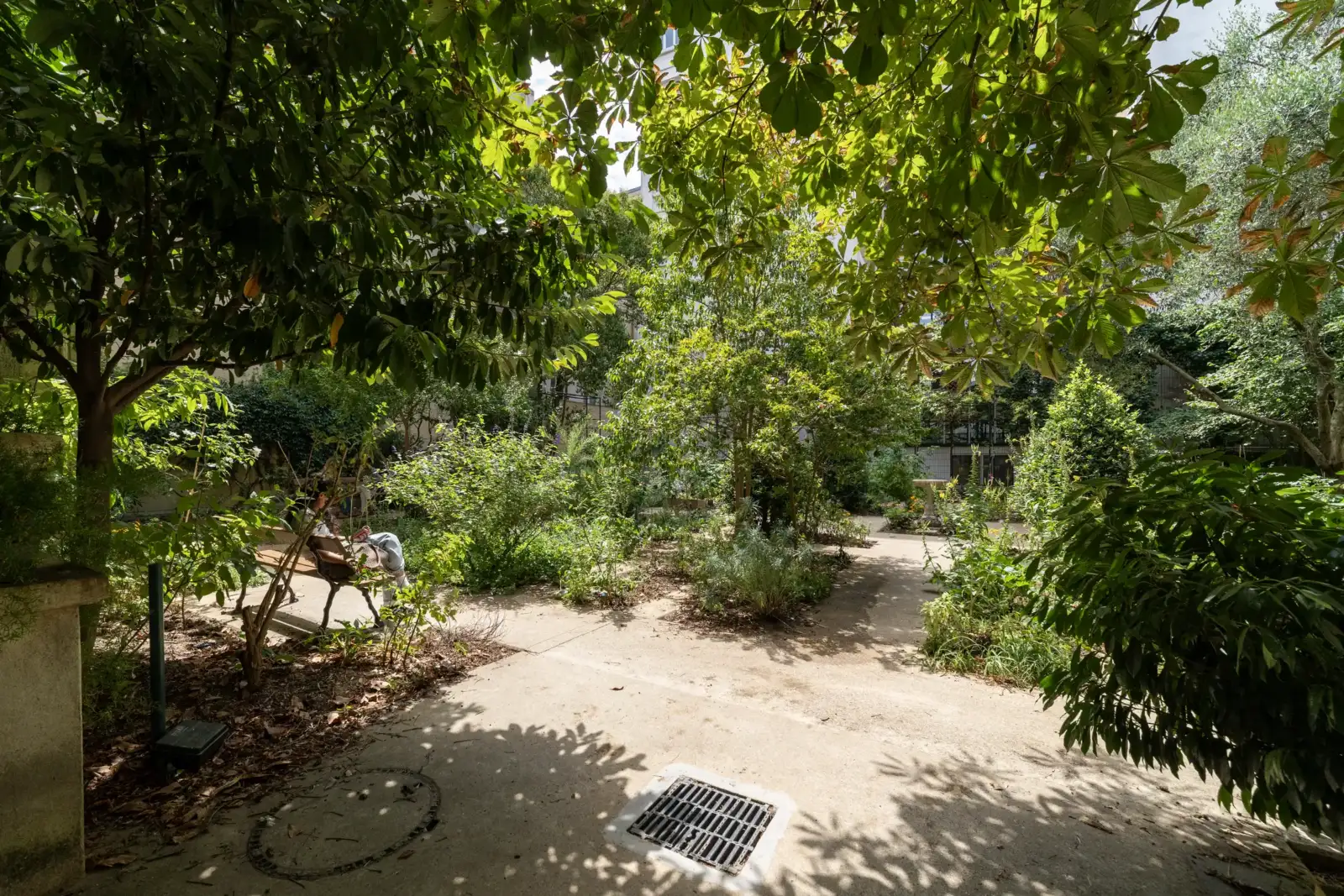 Une personne est assise sur un banc au milieu du jardin verdoyant des Blancs-Manteaux à Paris.