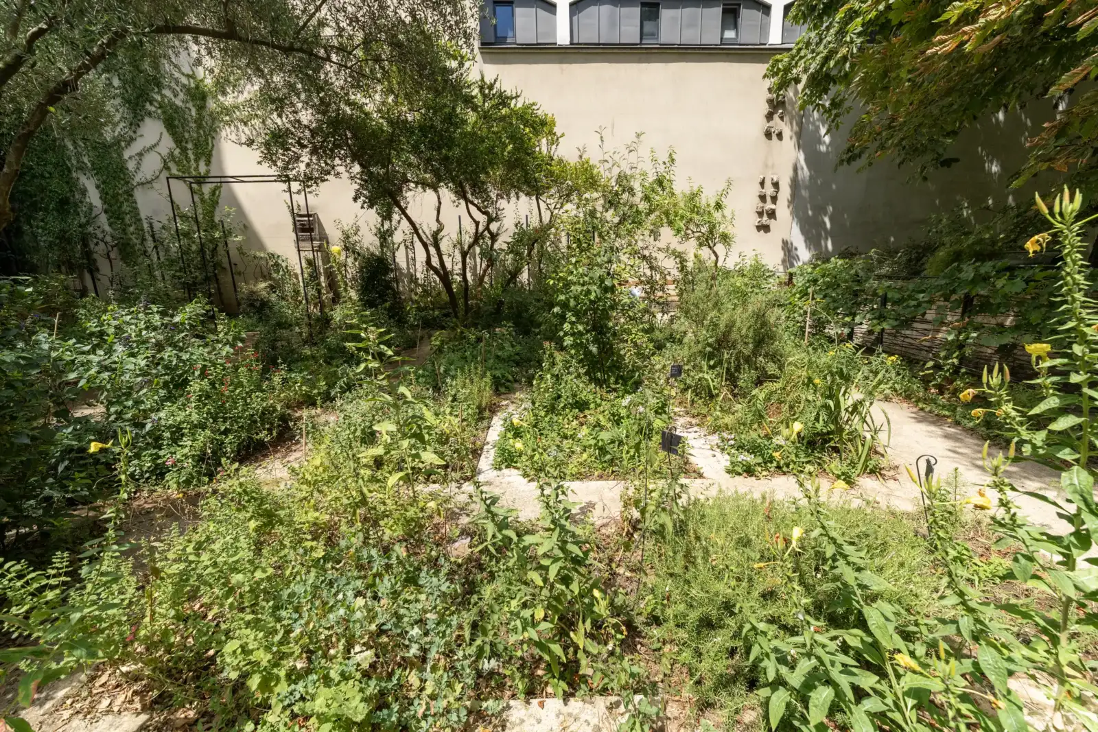 Vue du jardin partagé des Blancs Manteaux à Paris, riche en verdure.