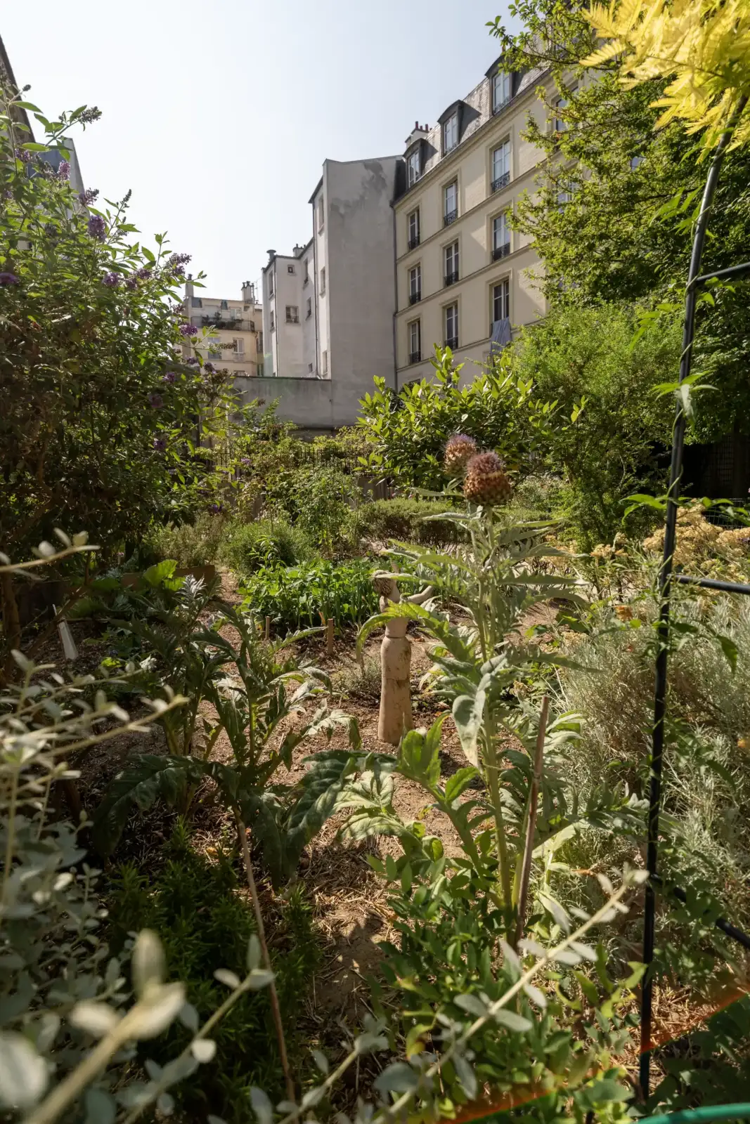 Vue ensoleillée du jardin partagé Joseph Migneret, entouré d'immeubles parisiens anciens.