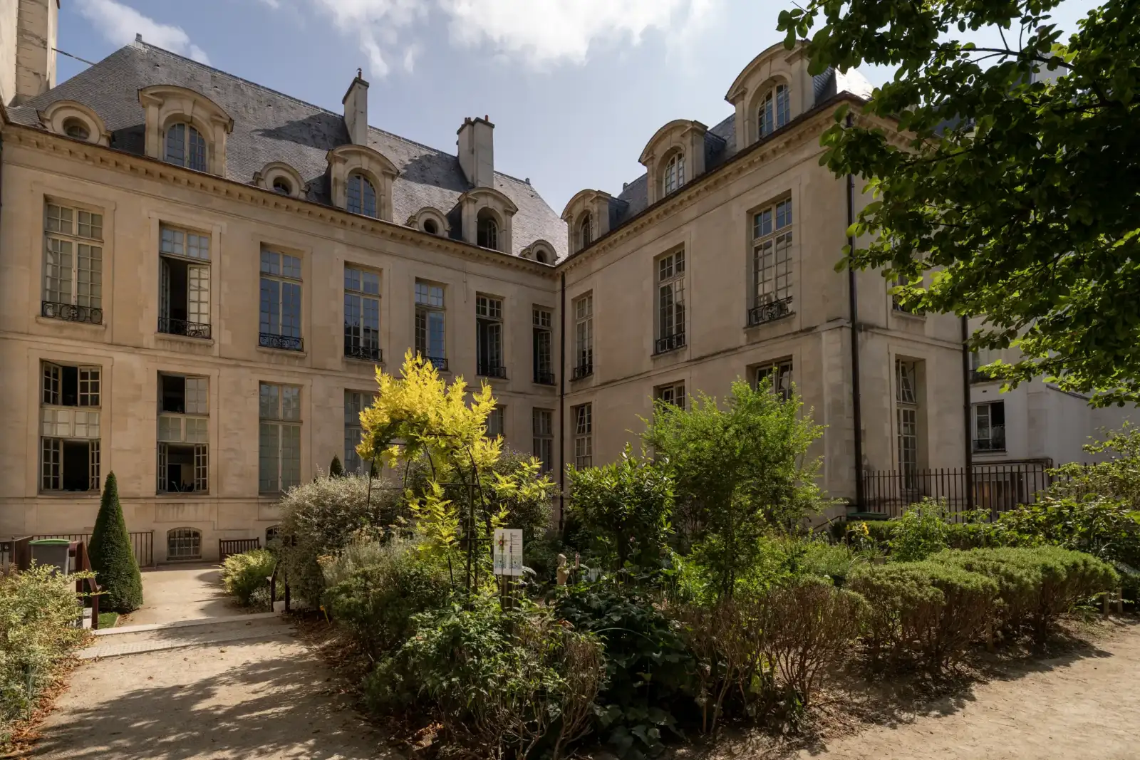 Une cour arborée entourée de façades en pierre de style classique à Paris.