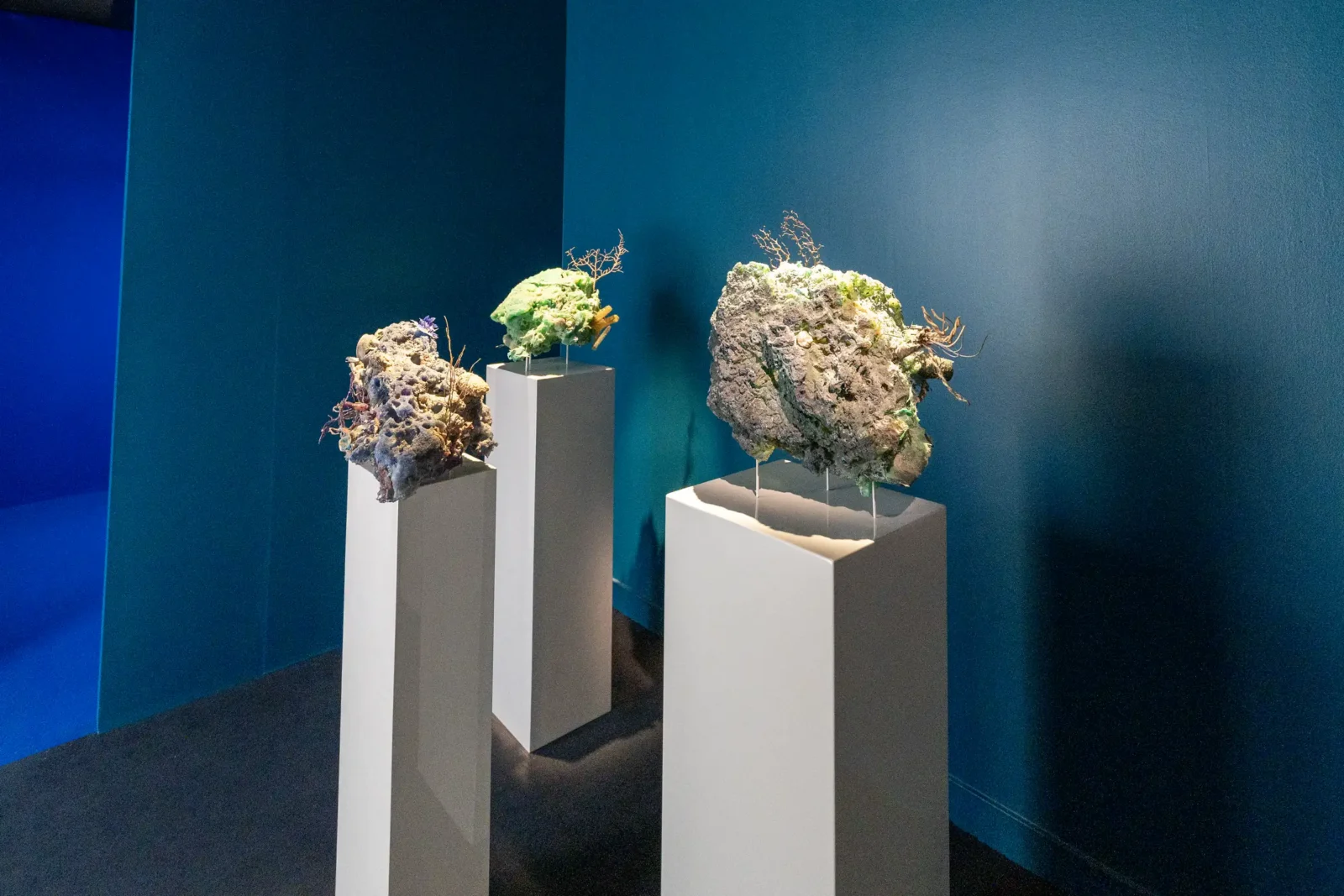 Trois sculptures organiques texturées sont exposées sur des socles blancs dans une salle bleue.