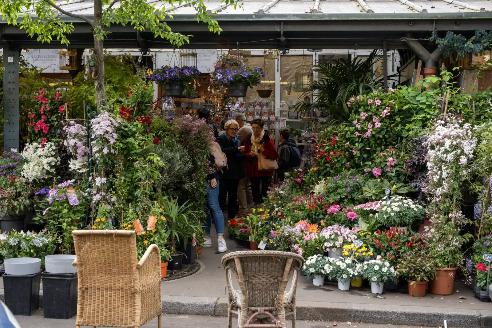 Des clients visitent un marché aux fleurs coloré situé sur la place Reine Elizabeth.