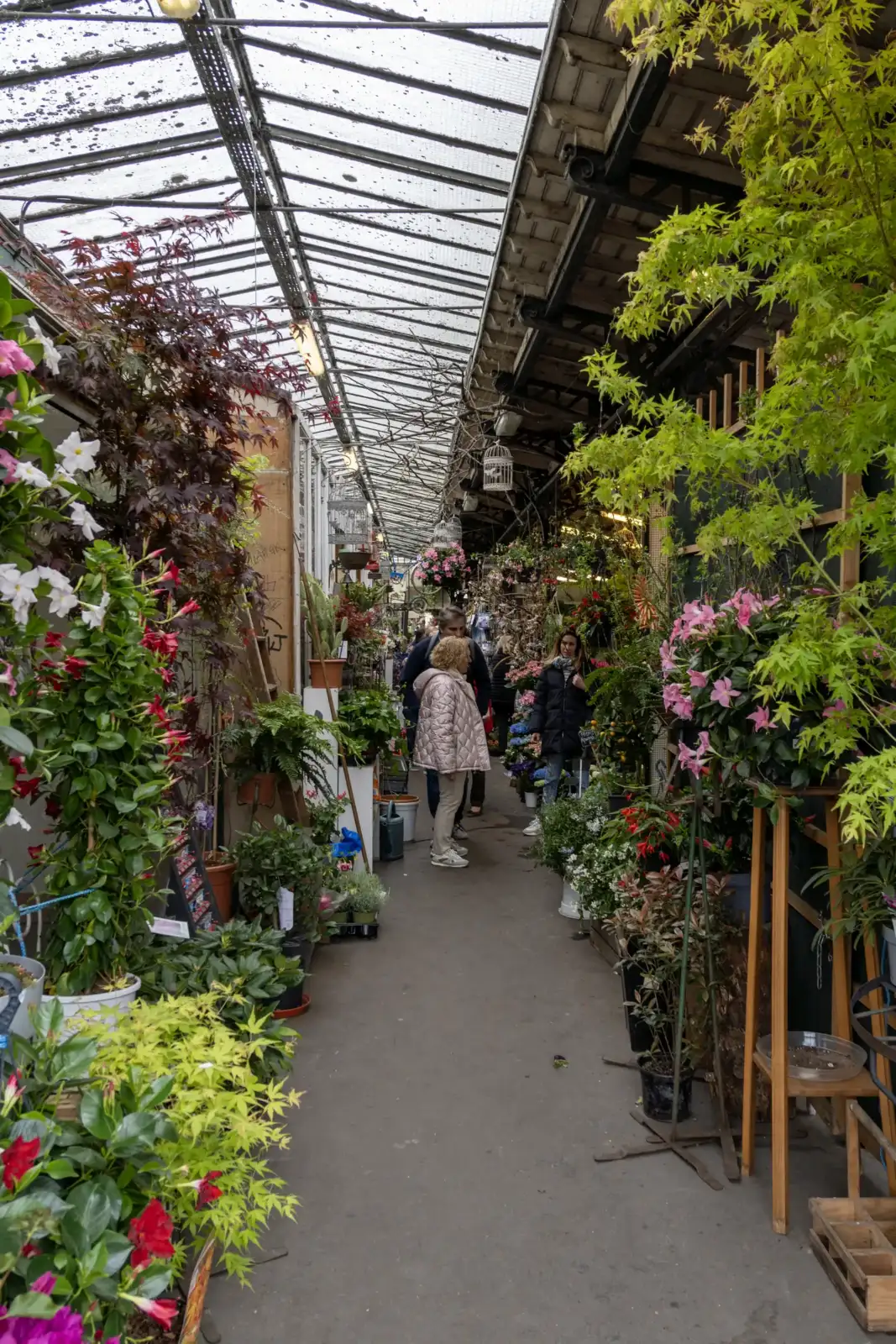 Des clients déambulent dans les allées fleuries du marché aux fleurs Reine Elizabeth II.