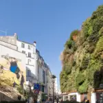Mur Végétal (L'Oasis d'Aboukir)