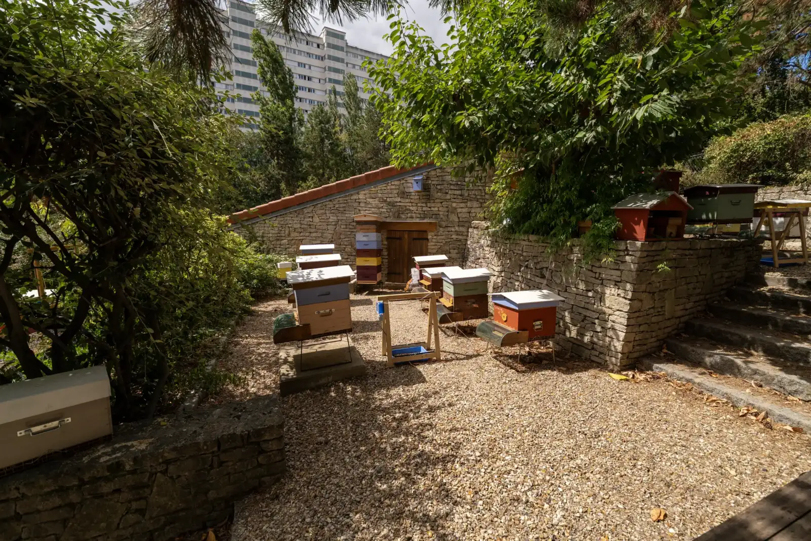 Plusieurs ruches en bois colorées sont installées dans un parc arboré à Paris.
