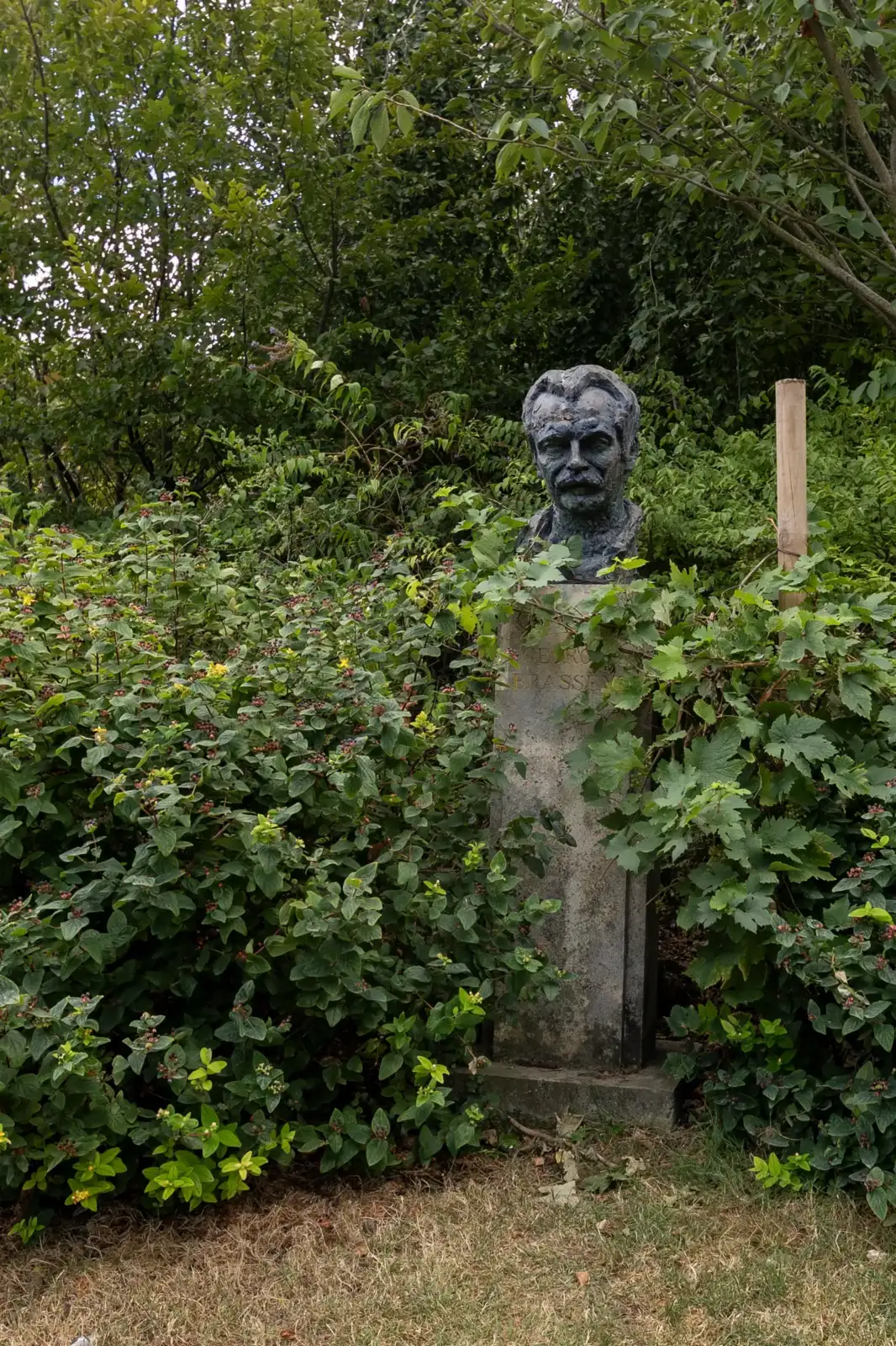 Un buste de Georges Brassens en bronze émerge de la verdure au parc Georges Brassens à Paris.