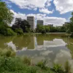Le lac du parc Montsouris reflète des immeubles parisiens sous un ciel nuageux.