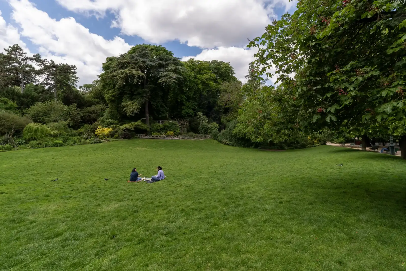 Deux personnes pique-niquent sur la pelouse verdoyante du parc Montsouris par une journée ensoleillée.