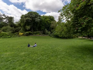 Deux personnes pique-niquent sur la pelouse verdoyante du parc Montsouris par une journée ensoleillée.