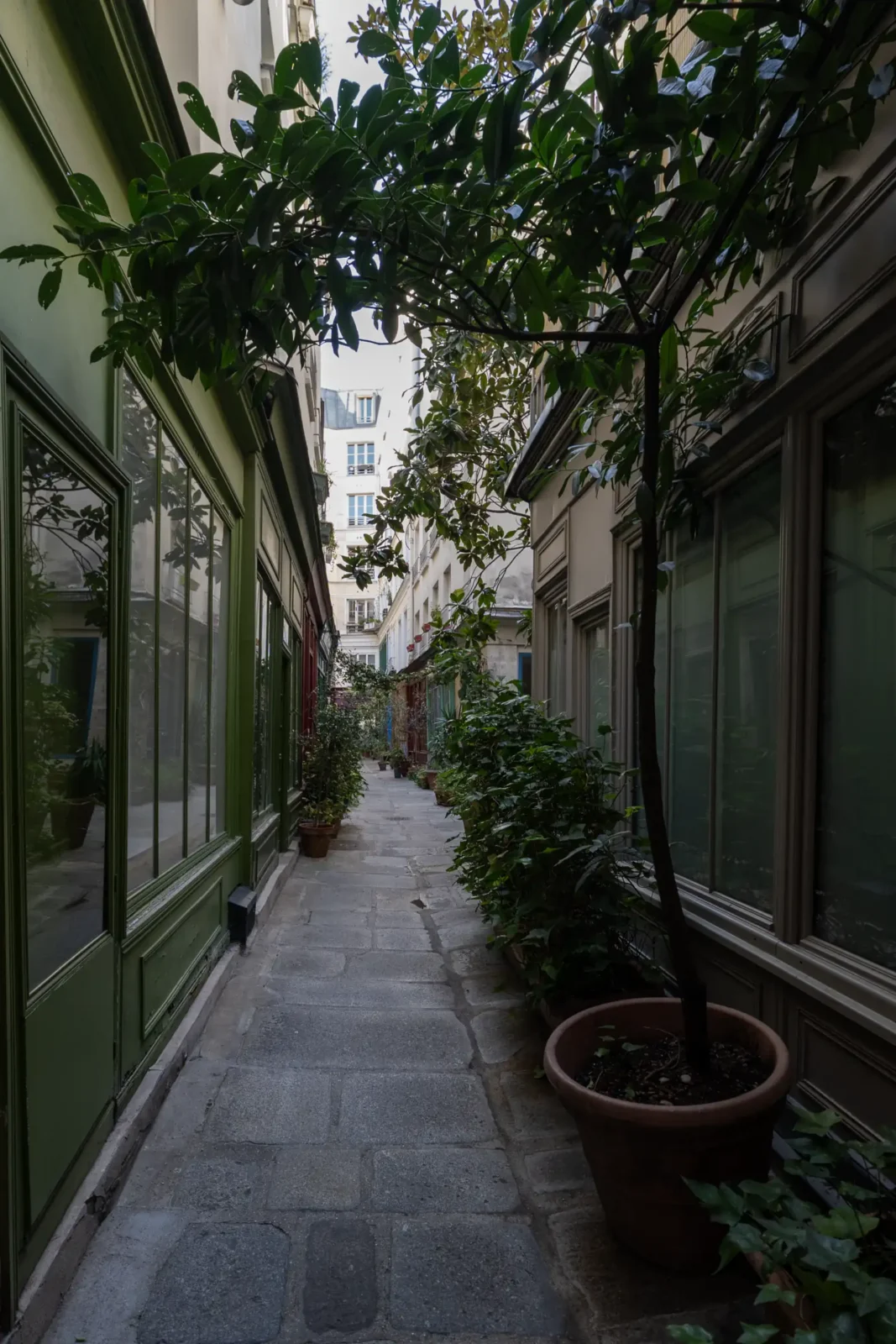 Une ruelle pavée étroite bordée de façades anciennes et de plantes en pot à Paris.