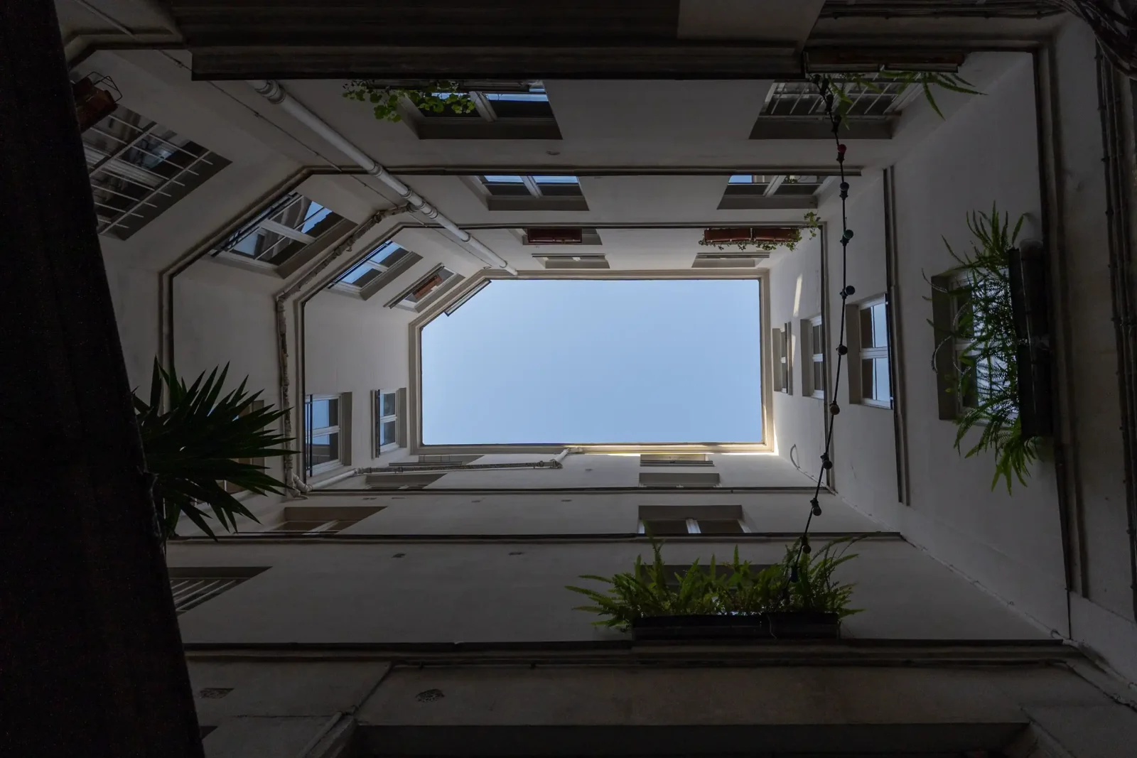 Vue en contre-plongée d'une cour intérieure parisienne entourée de façades avec des plantes vertes.
