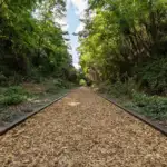 Petite Ceinture (Section 14e)