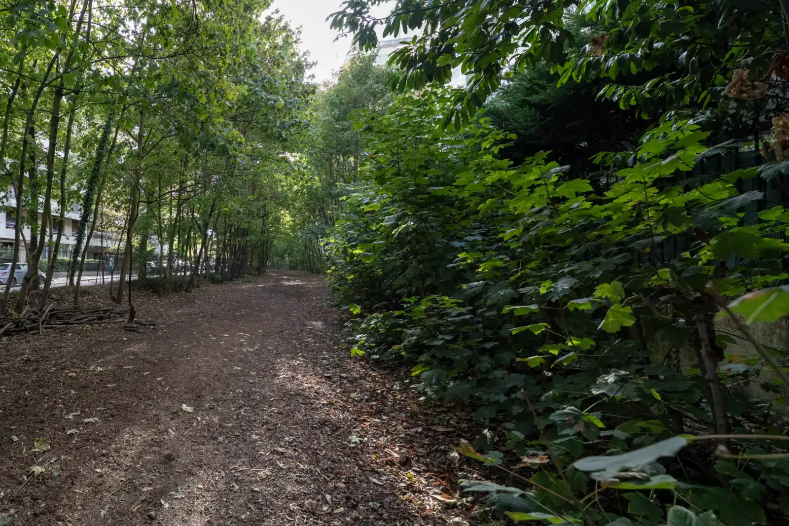 Un sentier de terre bordé d'arbres verdoyants longe une portion de la Petite Ceinture.