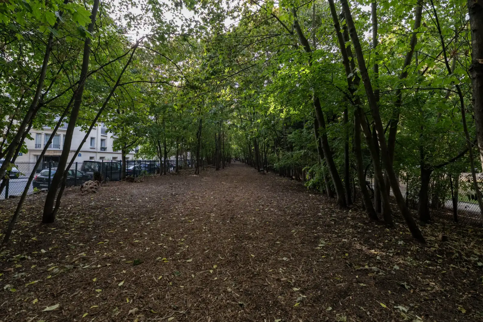 Une allée boisée et ombragée longe une façade d'immeuble parisien au sol jonché de feuilles.