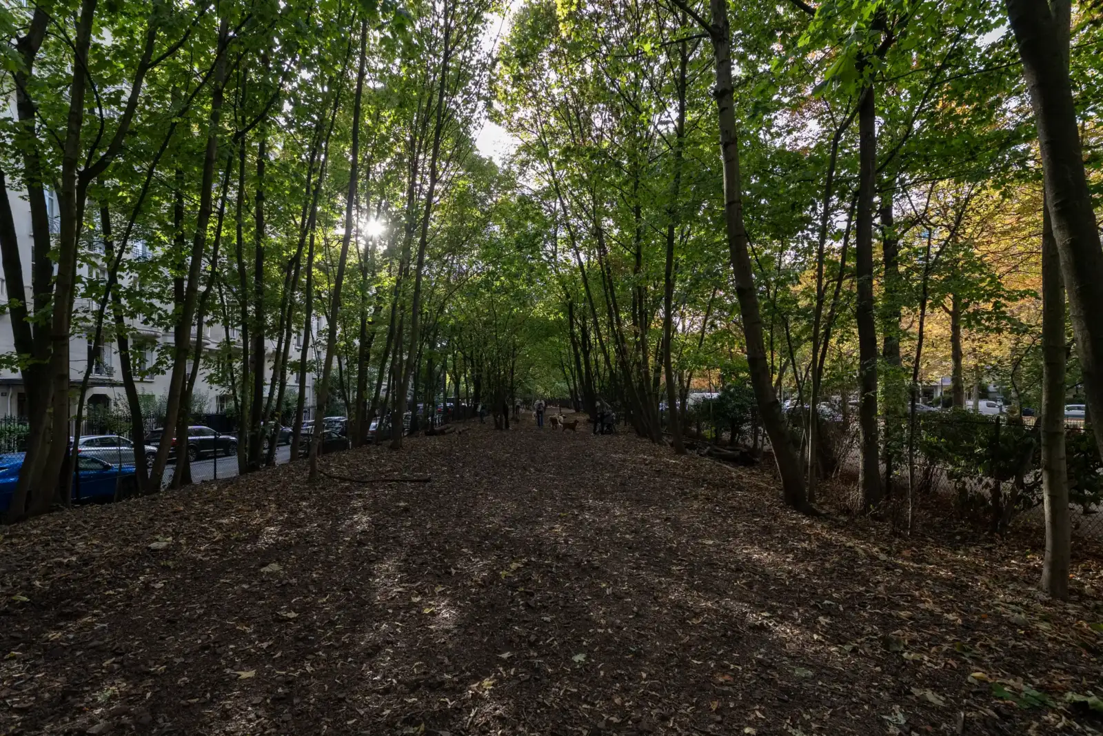 Une allée boisée ombragée de la Petite Ceinture bordée d’arbres et d’immeubles parisiens.