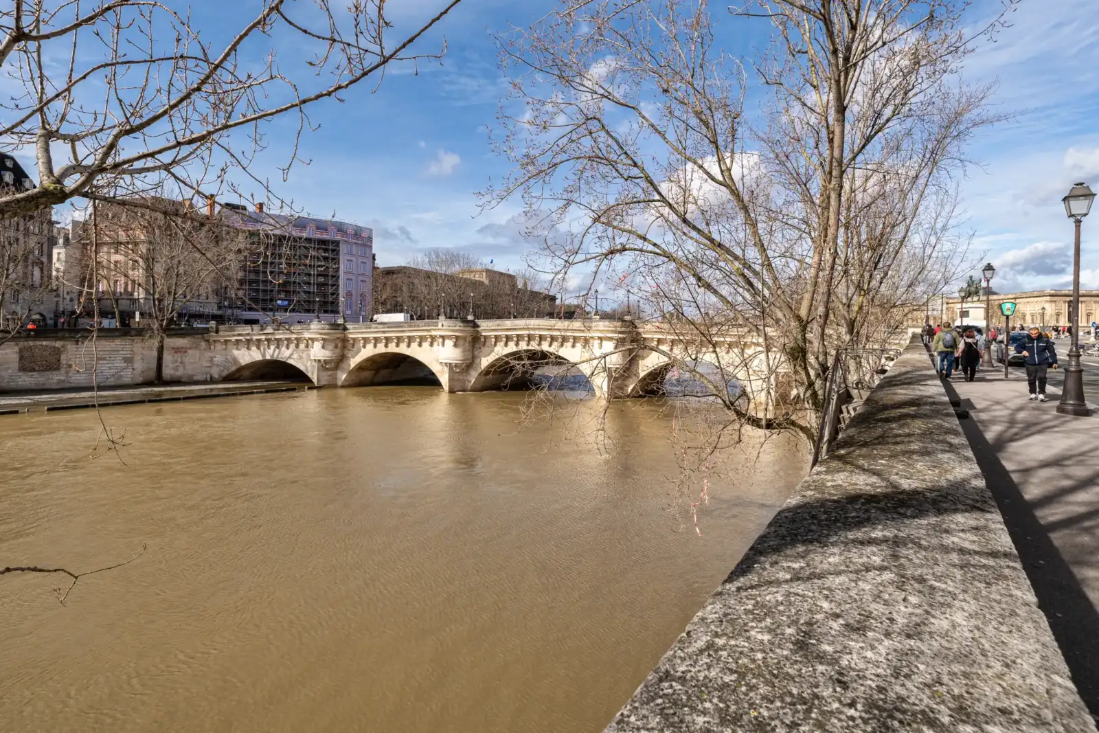 Le Pont Neuf enjambe la Seine sous un ciel bleu avec des arbres dénudés.