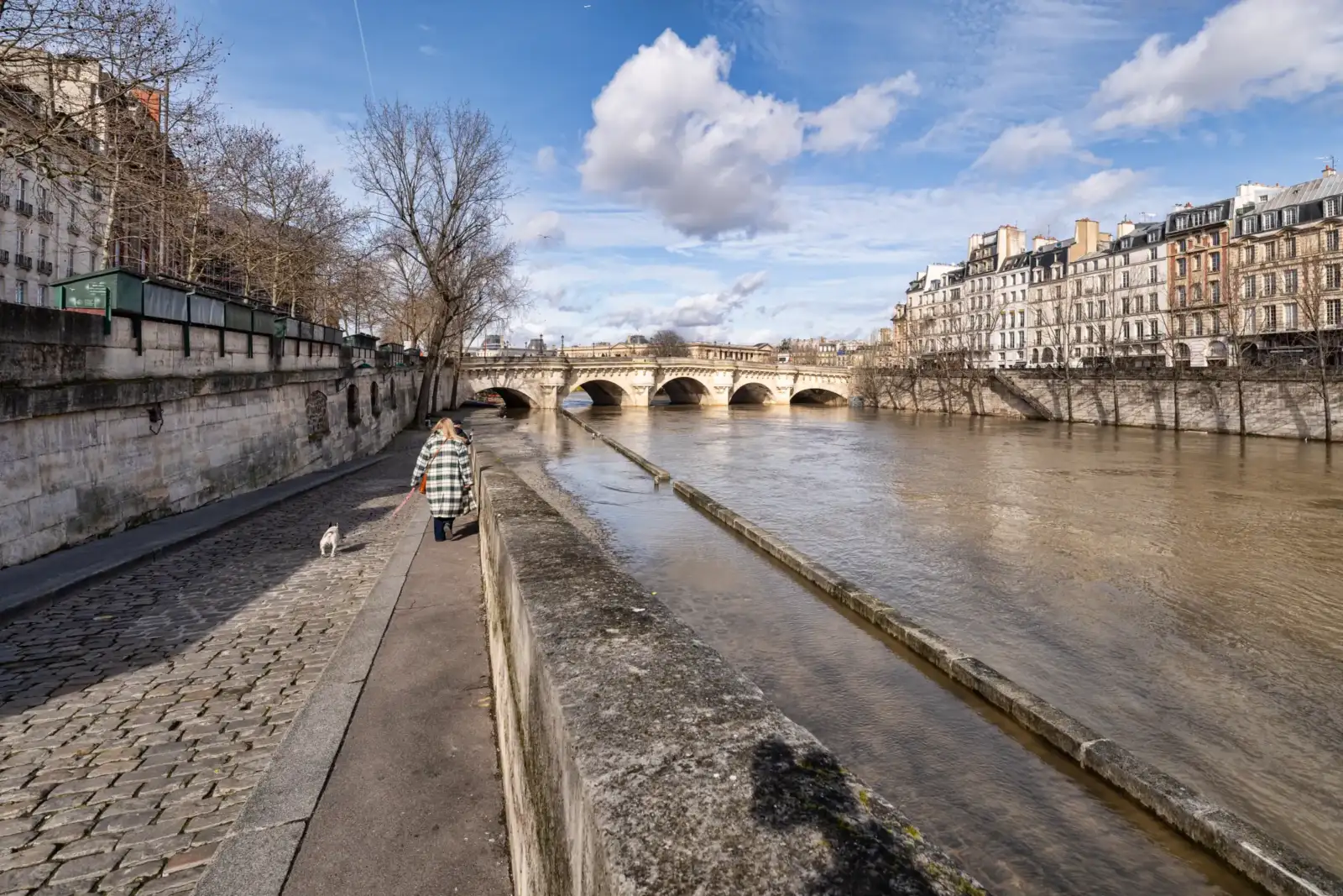 Une femme promène son chien sur les quais de Seine près du Pont Neuf.