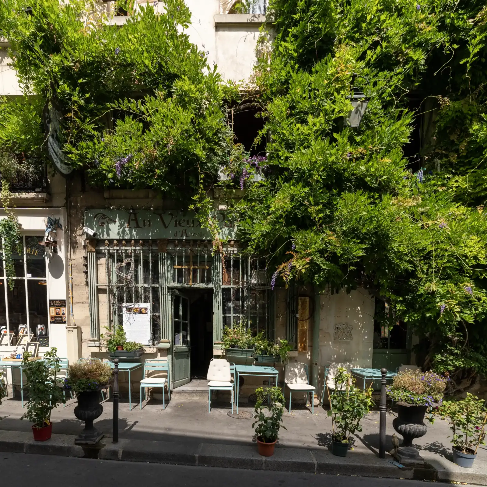 Façade ancienne du restaurant Au Vieux Paris d Arcole recouverte de verdure luxuriante.