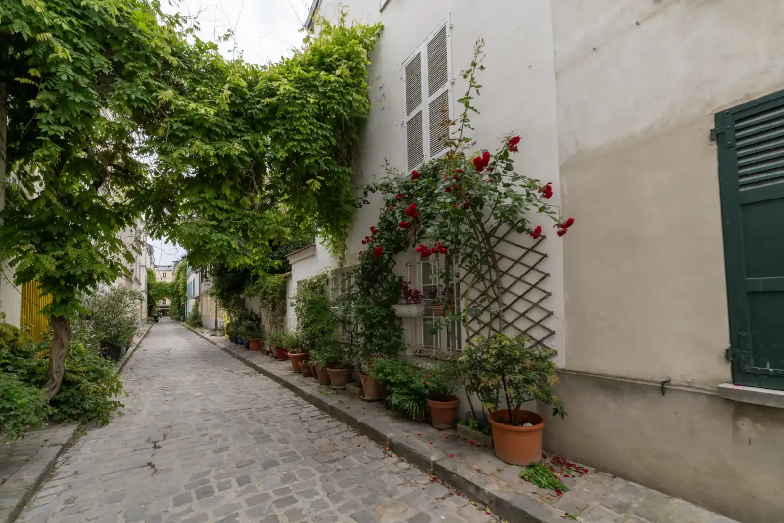 Une ruelle pavée de Paris bordée de maisons fleuries avec des rosiers grimpants.