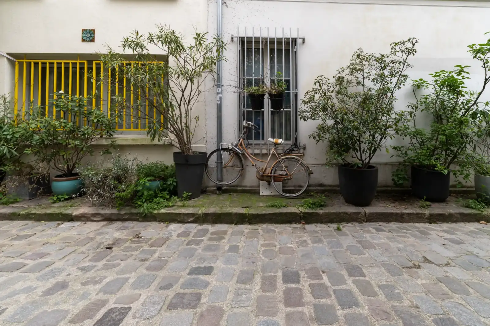 Une bicyclette rouillée est garée contre une façade blanche entourée de plantes en pots.