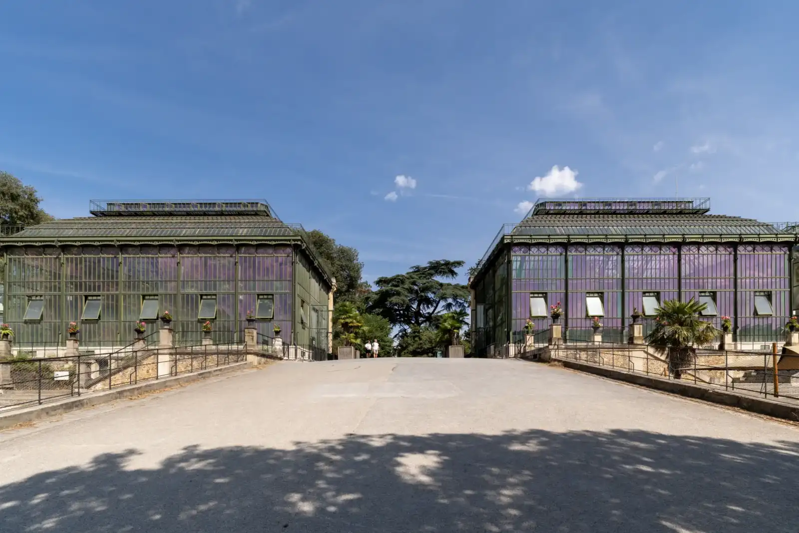 Vue en contre-plongée de deux grandes serres vitrées du Jardin des Plantes à Paris.