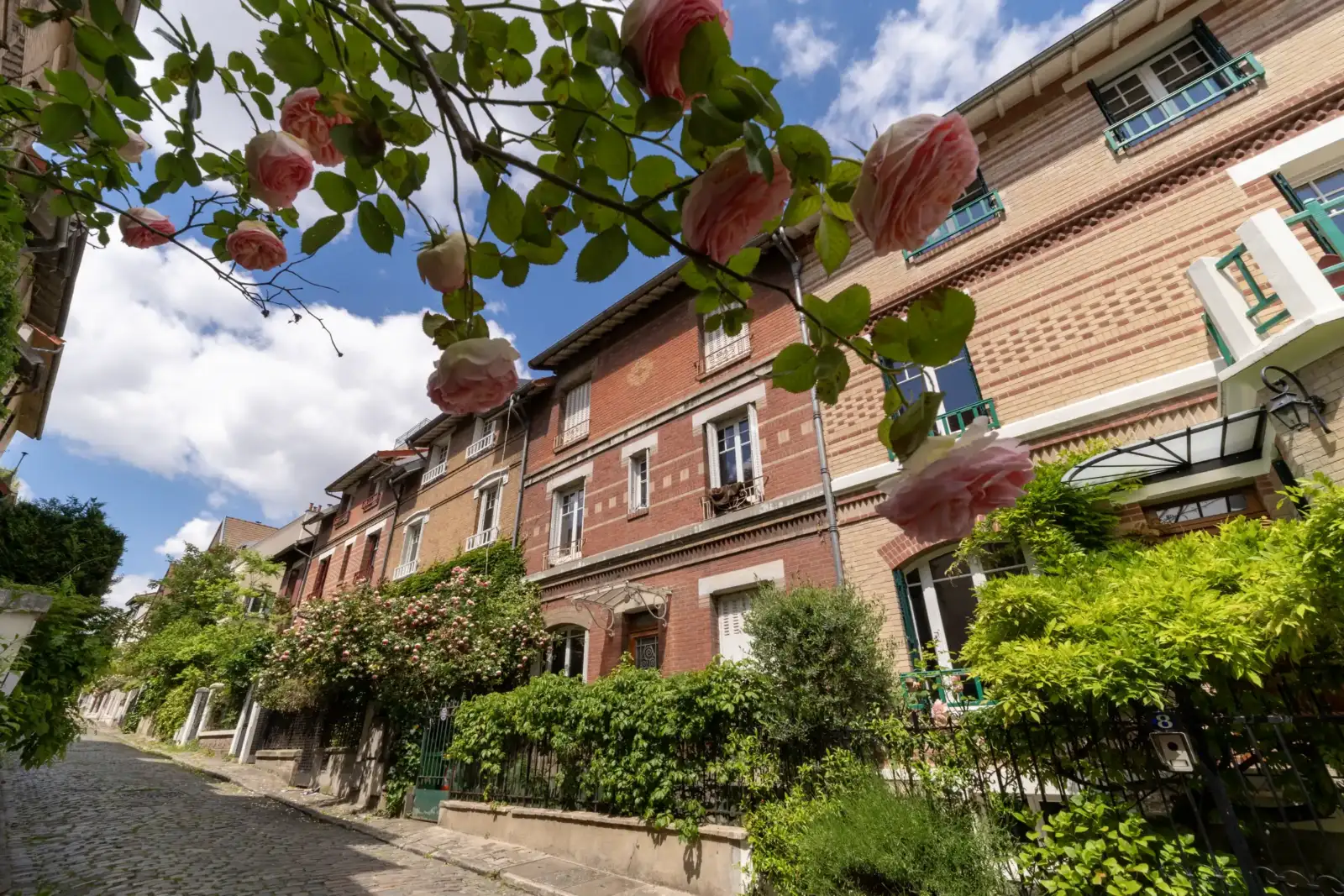 Des roses roses pendent de branches vertes au-dessus d'une rue pavée bordée de maisons parisiennes en briques.