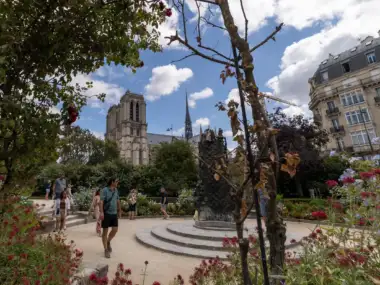 Des visiteurs se promènent dans le square René Viviani avec la cathédrale Notre-Dame en arrière-plan.