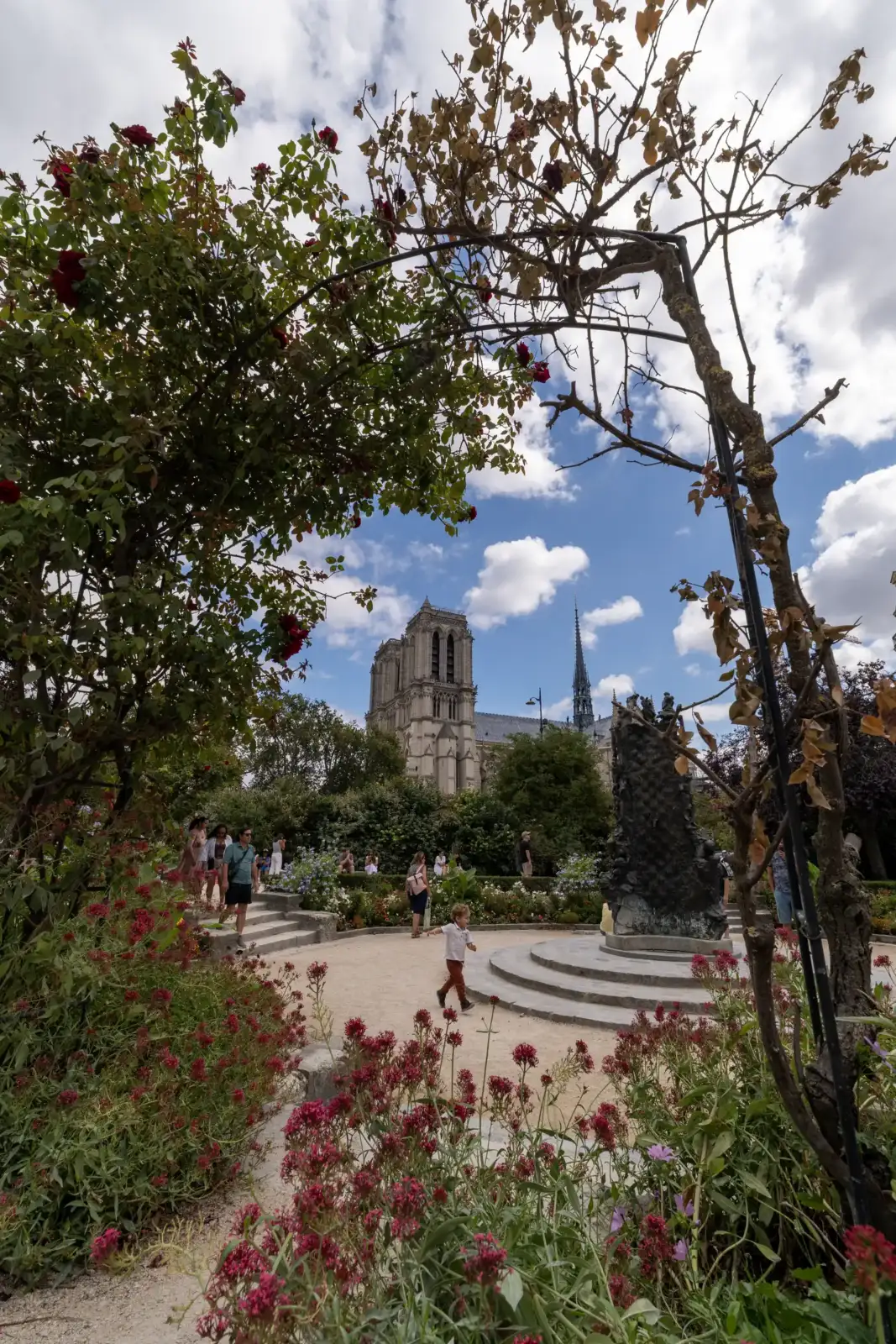 Vue encadrée par des rosiers du Square René Viviani avec Notre Dame en arrière-plan.