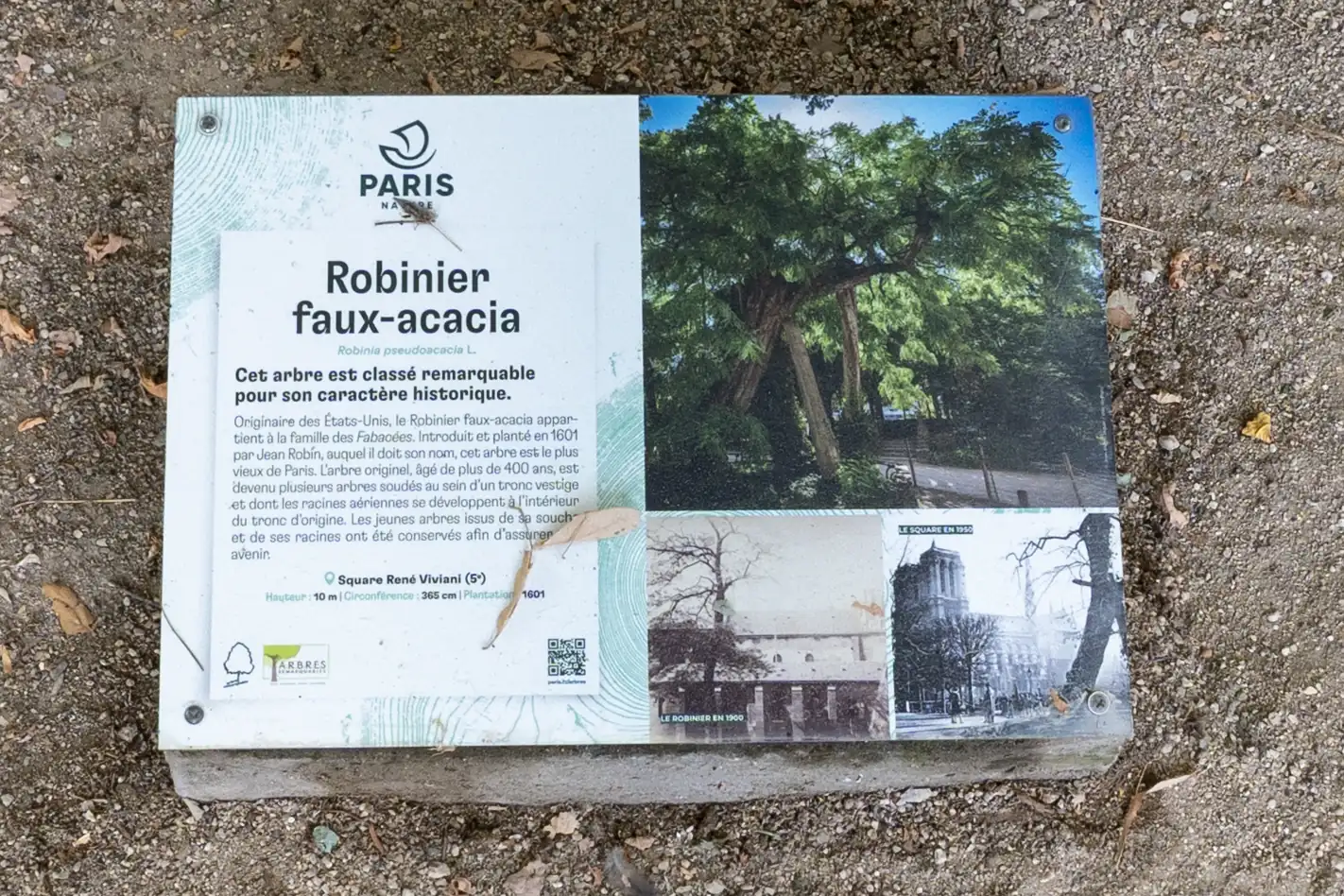 Un panneau d information rectangulaire en français se trouve posé sur le sol sablonneux.