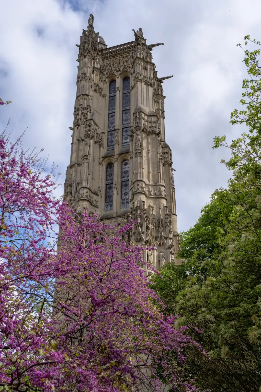 La tour Saint-Jacques gothique s'élève majestueusement derrière des arbres en fleurs au printemps.