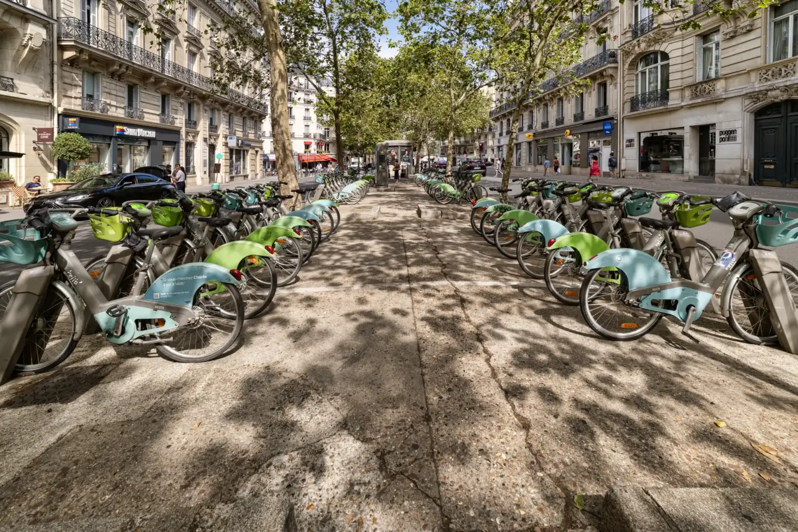 Deux rangées de vélos en libre-service stationnés sur le boulevard arboré à Paris.