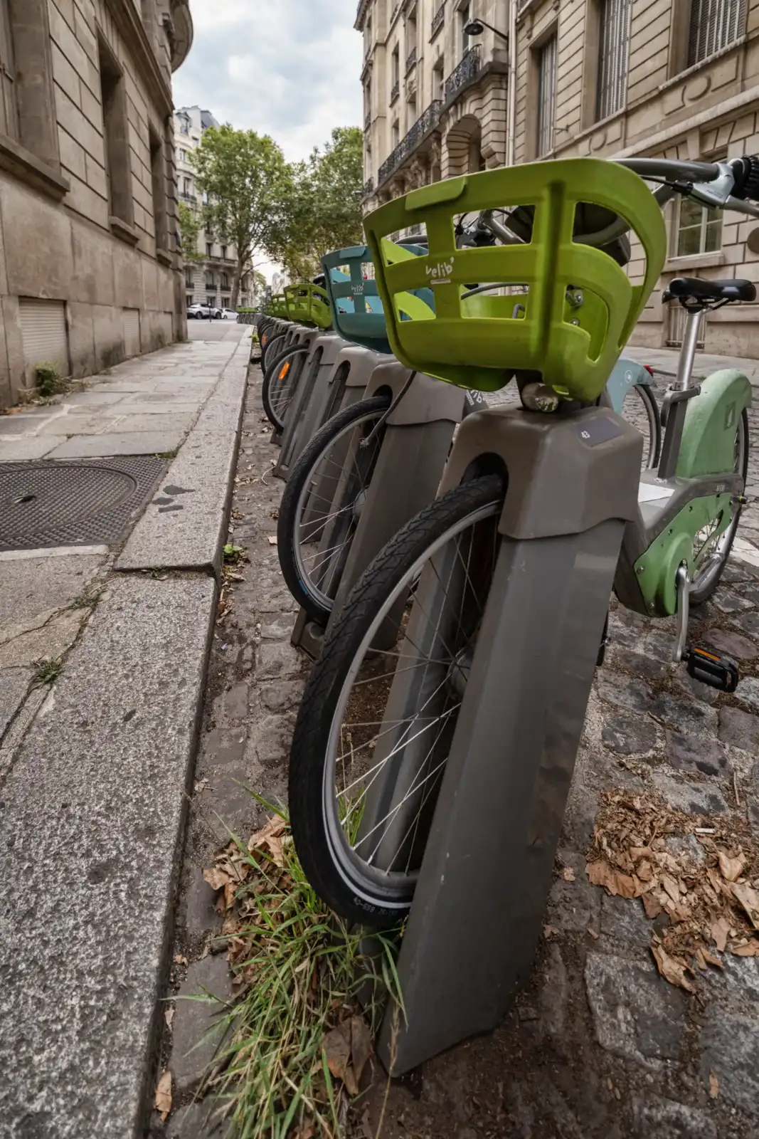 Une file de vélos en libre-service verts et gris alignés le long d une rue parisienne.